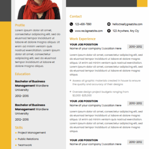 Resume 03 - Two Pages